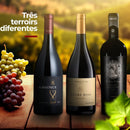 Trio de Syrah’s