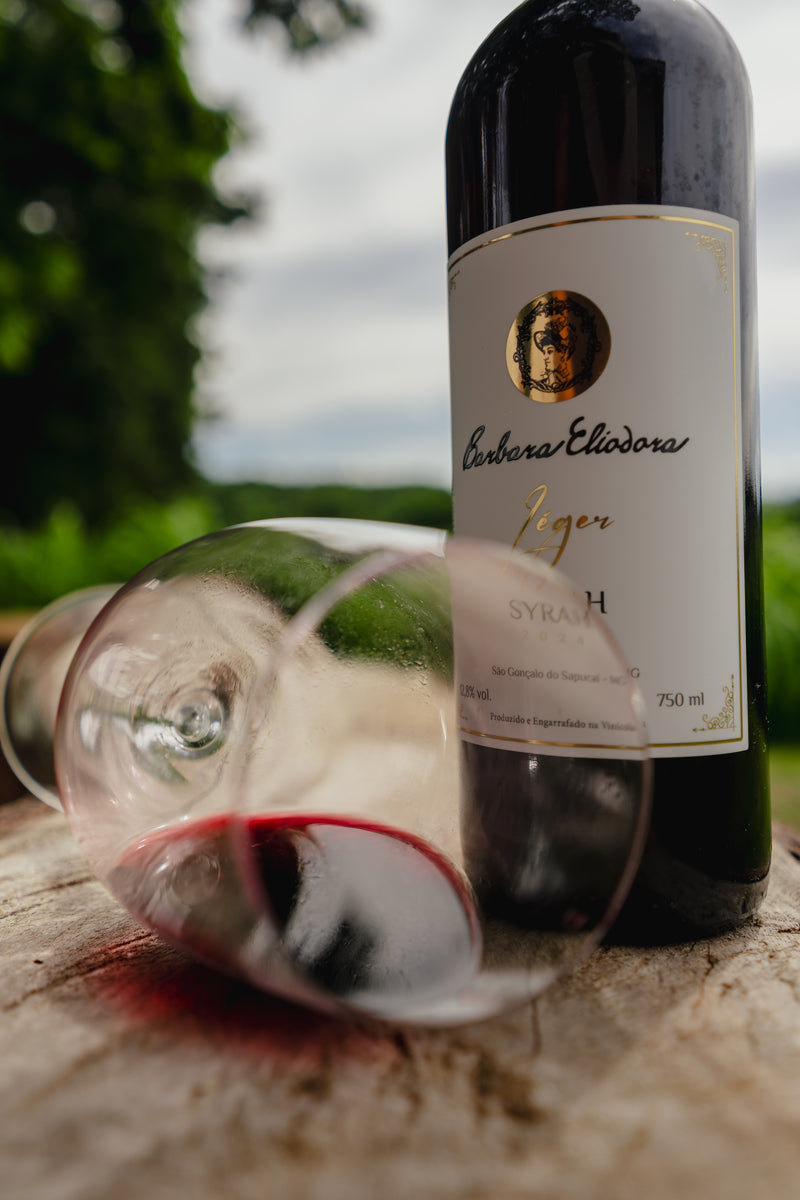 Vinho Tinto Barbara Eliodora Syrah Léger 2024